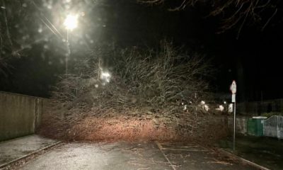 0221847_Unknown-3.jpeg