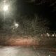 0221847_Unknown-3.jpeg