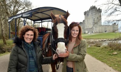 0225122_meitheal_ross_castle_022_1.jpg