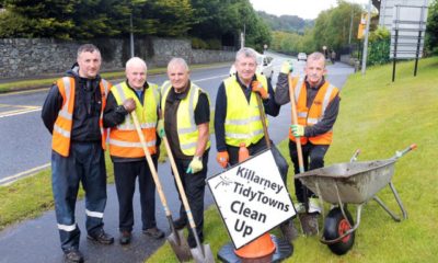 0228960_Tidy-Town-Meitheal-2.jpeg
