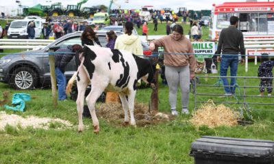 0234094_Kingdom_County_Fair_Tralee_45.jpg