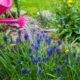 0234140_shutterstock243004660.jpg