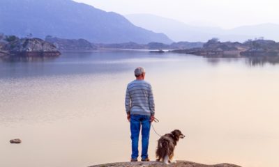 0234198_shutterstock160036910.jpg
