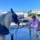0235938_Unknown-11.jpeg