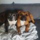 0237288_Backy_and_Sara.jpg