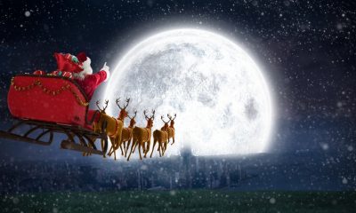 0247175_shutterstock513465844.jpg
