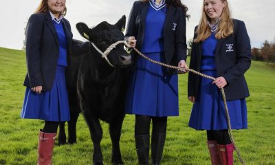 0254512_StBrigids_Kerry_1.jpg