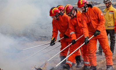 0254895_KNP_Fire_prevention_training2.jpg