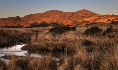0258346_Evening_Old_Kenmare_road4.jpg