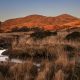 0258346_Evening_Old_Kenmare_road4.jpg