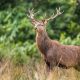 0260797_shutterstock252870901.jpg