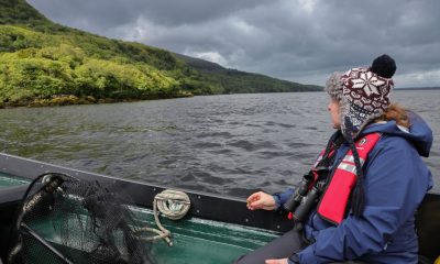 0262189_NPWS_Eagle_Release_Killarney3.jpg
