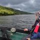 0262189_NPWS_Eagle_Release_Killarney3.jpg
