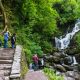 0264660_shutterstock1010456416.jpg