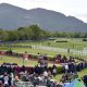 0264883_killarney_races_016_2.jpg