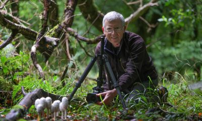 0266574_Louis_OToole_Fungi_of_KNP2.jpg