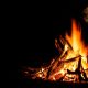 0267691_shutterstock118751641928.jpeg
