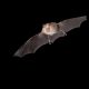 0271148_shutterstock1459723514.jpg