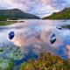 0271158_shutterstock136373447.jpg