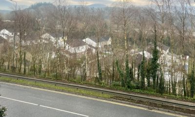0271546_Unknown-5.jpeg