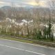0271546_Unknown-5.jpeg