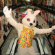 0276130_Easter_Outlet_Centre_2.jpg