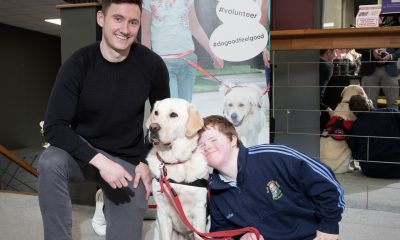 0277852_James_O_Donoghue__AADI_dog_Buzz__Darragh_Cattigan.jpg
