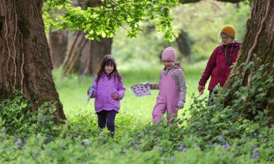 0279121_Bioblitz_Killarney_National_Park395.jpg