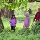 0279121_Bioblitz_Killarney_National_Park395.jpg