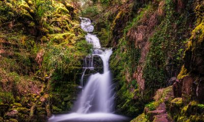 0279697_Iryna_HalaievaOSullivans_Cascade29.jpg