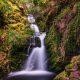 0279697_Iryna_HalaievaOSullivans_Cascade29.jpg