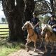 0281631_26-Complimentary_Horse_riding_at_The_Dunloe_Hotel__Gardens.jpg