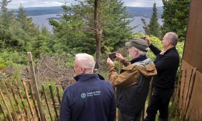 0281762_White_Tailed_Eagle_2024_Release4.jpg