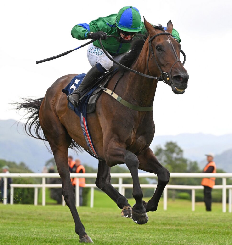 Big crowds expected for opening days of August Races - Killarney Advertiser
