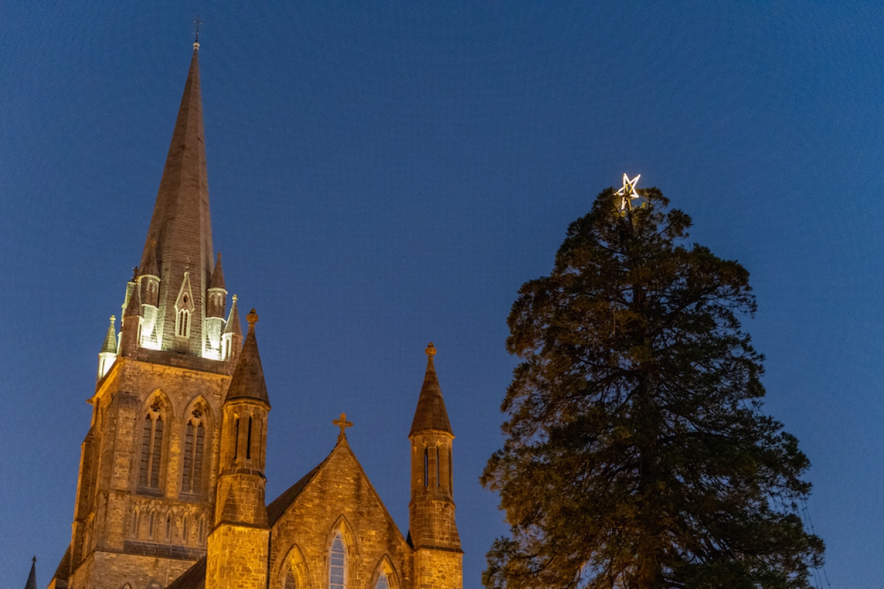 A former Mayor of Killarney, who dedicated so much of his life to the town and its people, is to be honoured in a very special way this Christmas. The feature star on the spectacular Tree of Light at St Mary’s Cathedral will take on an extra special meaning this year as it will be